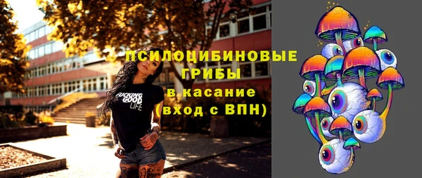молекула духа Аркадак